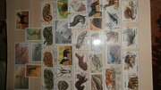 Почтовые марки разных тем .